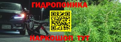 ECSTASY Малгобек